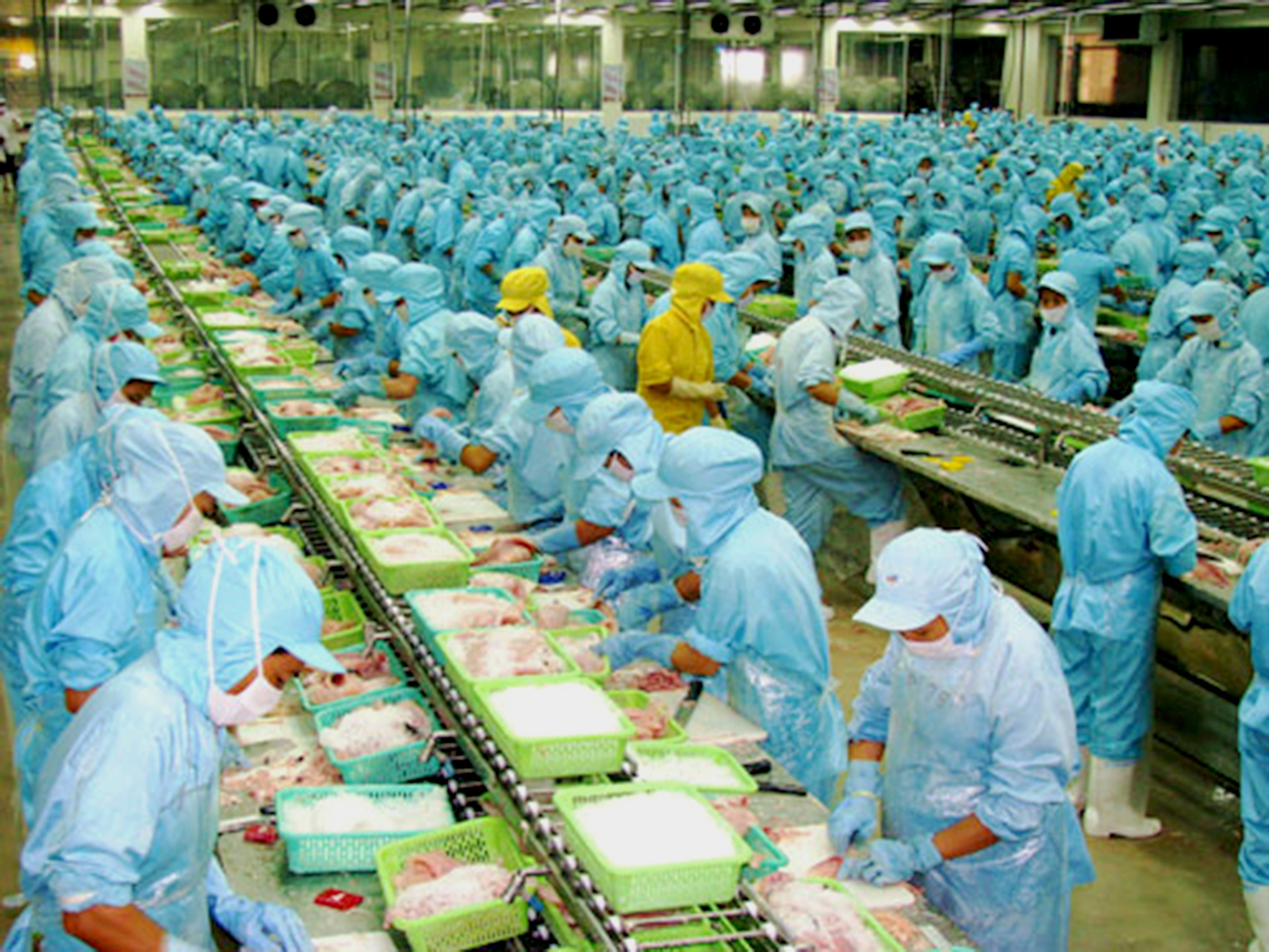 Xử lý nước thải công nghiệp Xử lý nước thải công nghiệp